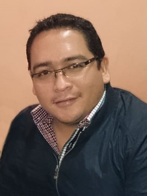 Ing. Fernando Aramayo Michel